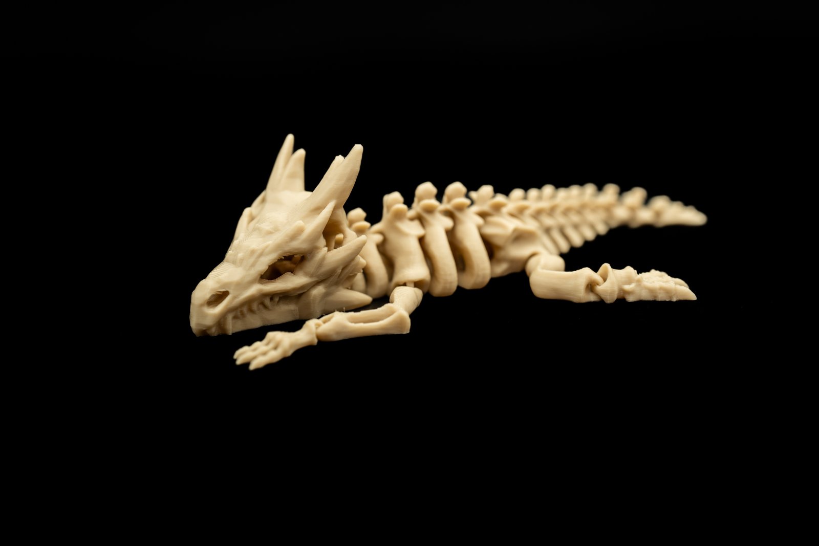 Mały Smok Szkielet 3D – Articulated Dragon Skeleton - obrazek 5