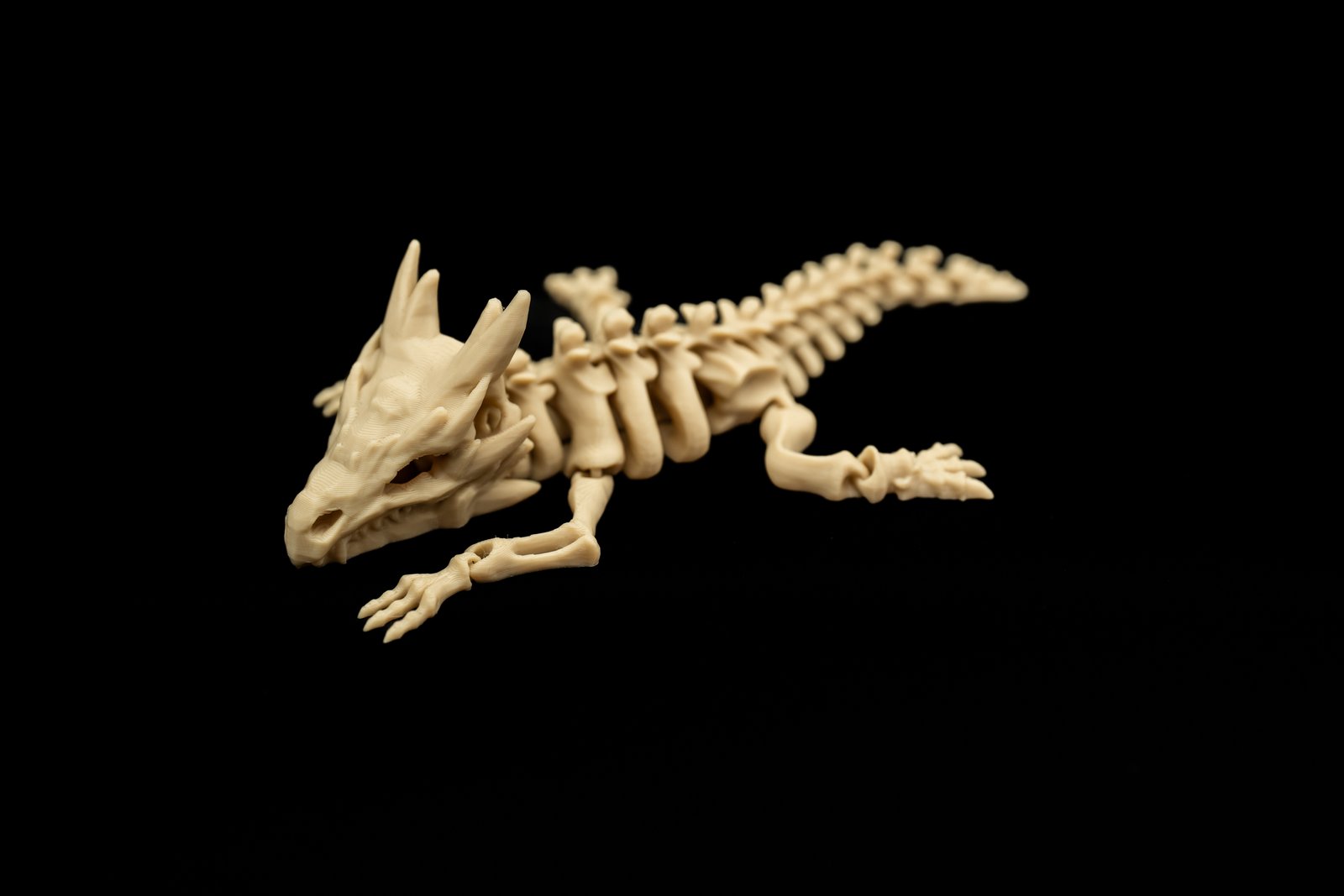 Mały Smok Szkielet 3D – Articulated Dragon Skeleton - obrazek 6