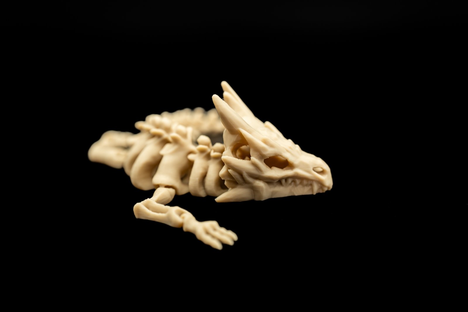 Mały Smok Szkielet 3D – Articulated Dragon Skeleton - obrazek 8