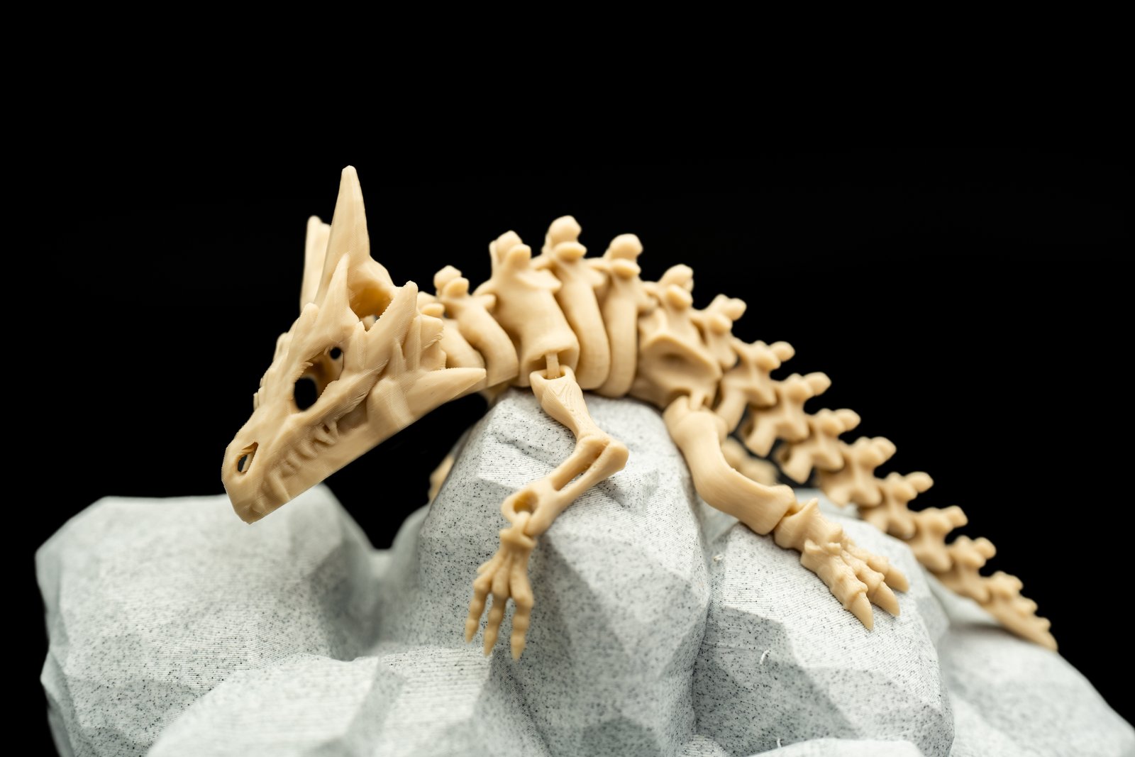 Mały Smok Szkielet 3D – Articulated Dragon Skeleton - obrazek 2