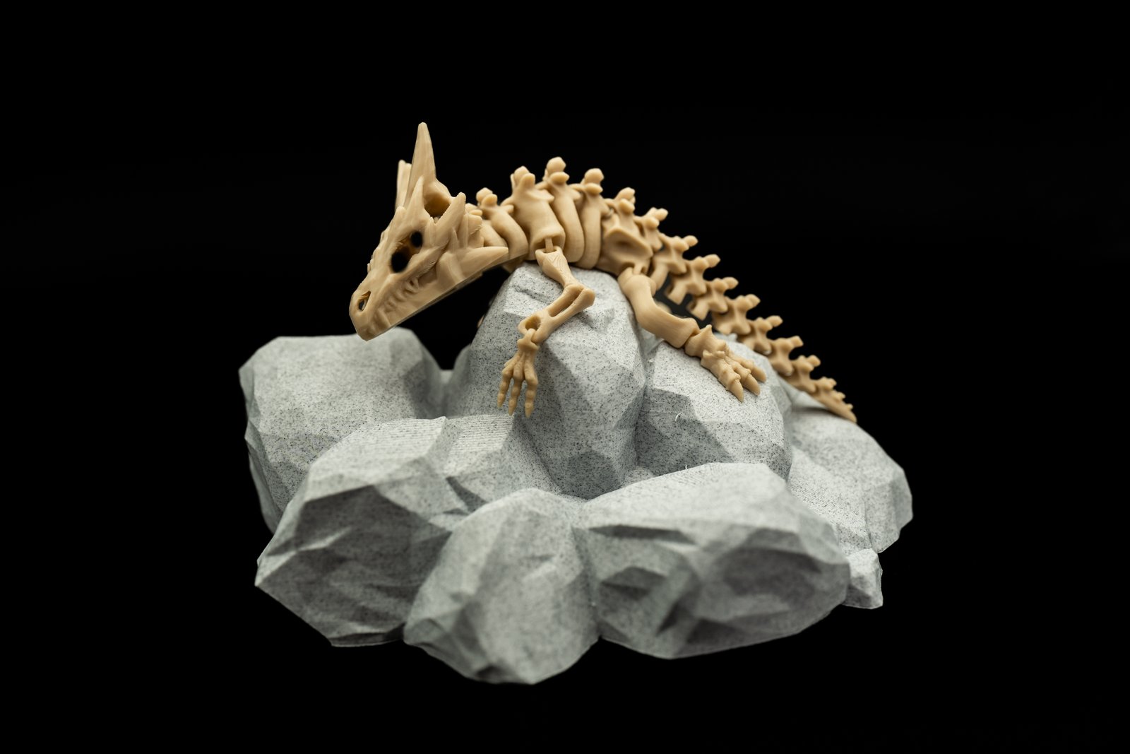 Mały Smok Szkielet 3D – Articulated Dragon Skeleton