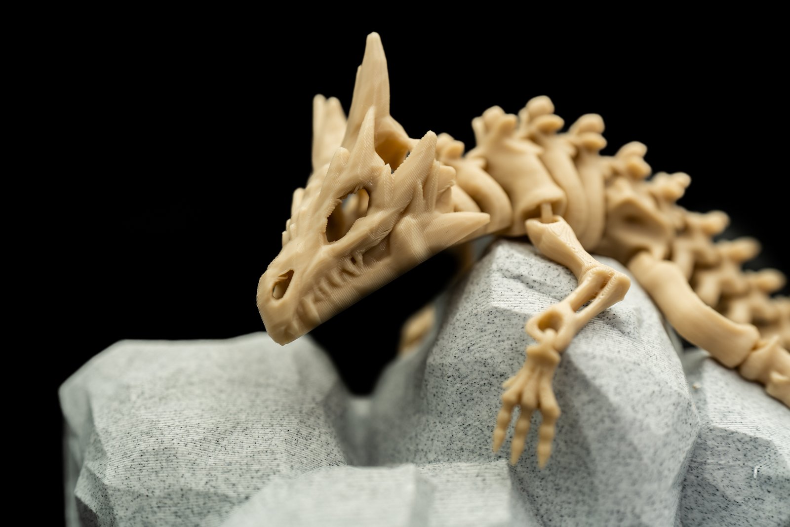 Mały Smok Szkielet 3D – Articulated Dragon Skeleton - obrazek 4