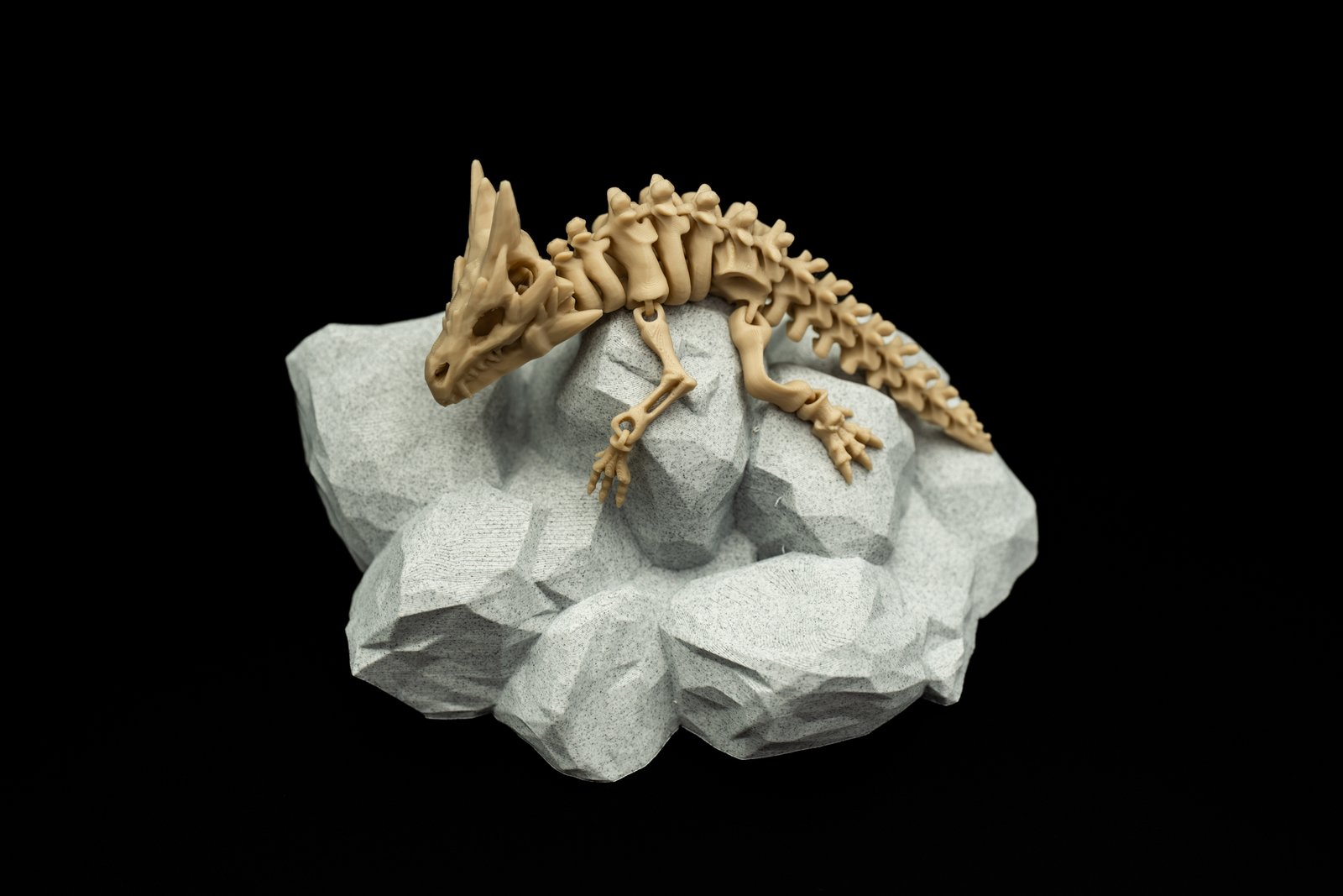 Mały Smok Szkielet 3D – Articulated Dragon Skeleton - obrazek 3